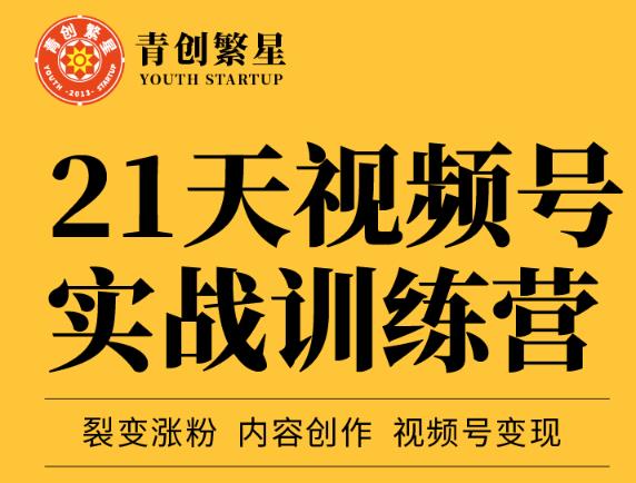张萌21天视频号实战训练营，裂变涨粉、内容创作、视频号变现 价值298元-安哥网络创业副业