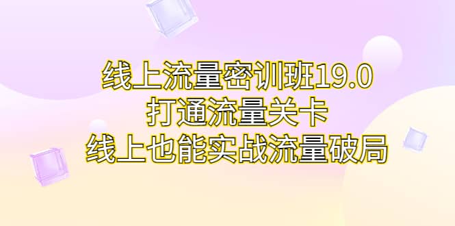 线上流量密训班19.0，打通流量关卡，线上也能实战流量破局-安哥网络创业副业