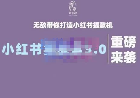 谢无敌·小红书实战营3.0，无敌带你打造小红书提款机 价值7999元-安哥网络创业副业