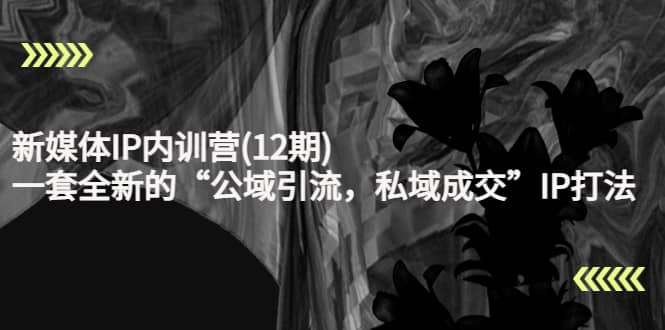 新媒体IP内训营(12期)，一套全新的“公域引流，私域成交”IP打法，直接带走-安哥网络创业副业