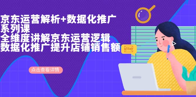 京东运营解析与数据化推广系列课，全维度讲解京东运营逻辑+数据化推广提升店铺销售额-安哥网络创业副业
