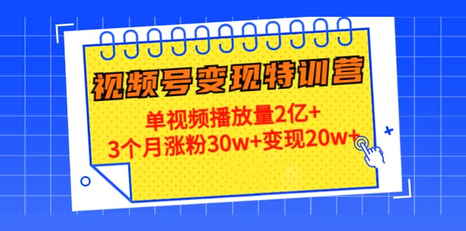 20天视频号变现特训营：单视频播放量2亿+-安哥网络创业副业
