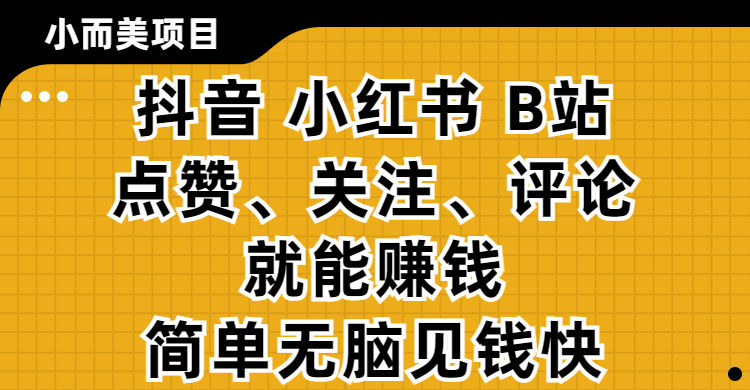 小而美的项目，抖音、小红书、B站视频点赞、关注、评论就能赚钱，简单无脑立见收益！妥妥的零撸项目-安哥网络创业副业