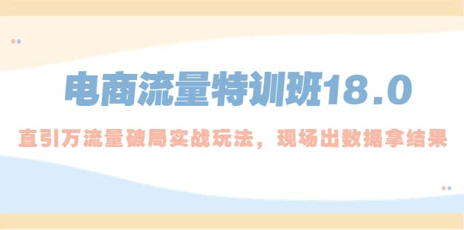 电商流量特训班18.0，直引万流量破局实操玩法，现场出数据拿结果-安哥网络创业副业
