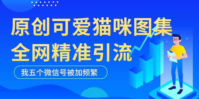 黑科技纯原创可爱猫咪图片，全网精准引流，实操5个VX号被加频繁-安哥网络创业副业