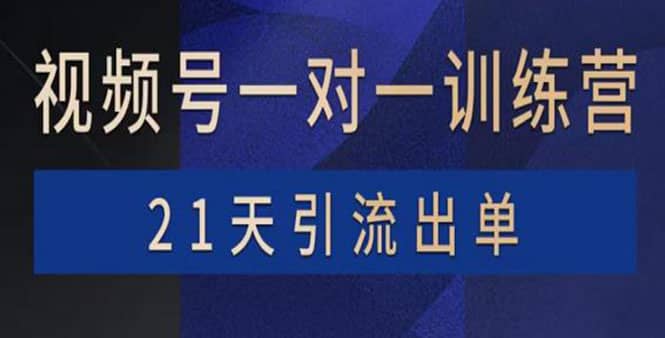 视频号训练营：带货，涨粉，直播，游戏，四大变现新方向，21天引流出单-安哥网络创业副业