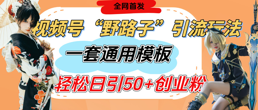 视频号“野路子”玩法，评论区疯狂截流，一套模板单日单号引流50+创业粉-安哥网络创业副业