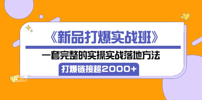 《新品打爆实战班》一套完整的实操实战落地方法，打爆链接超2000+（38节课)-安哥网络创业副业