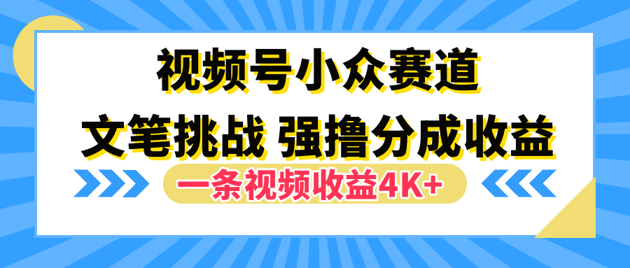 视频号小众赛道，文笔挑战，一条视频收益4K+-安哥网络创业副业