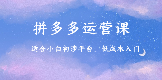 拼多多运营课，适合小白初涉平台，低成本入门-安哥网络创业副业