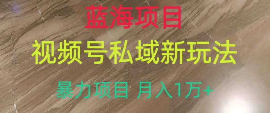 蓝海项目，视频号私域新玩法，暴力项目月入1万+【揭秘】-安哥网络创业副业