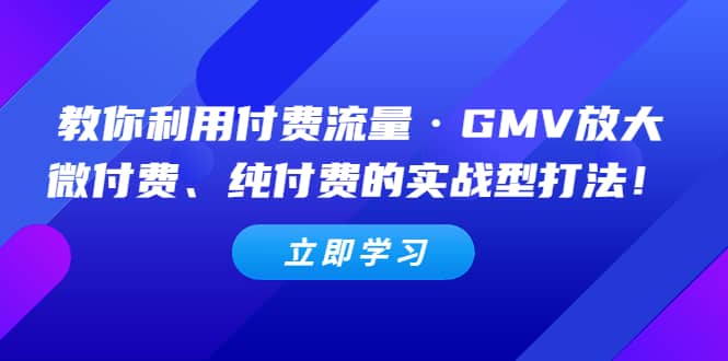 教你利用付费流量·GMV放大，微付费、纯付费的实战型打法-安哥网络创业副业