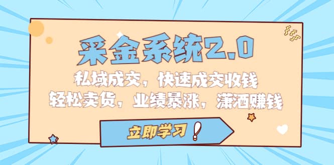 采金 系统2.0，私域成交，快速成交收钱，轻松卖货，业绩暴涨，潇洒赚钱-安哥网络创业副业
