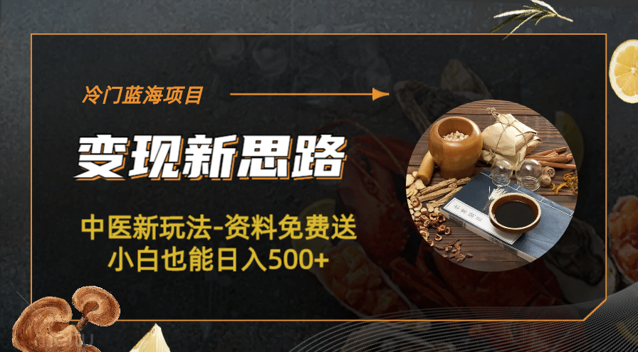 冷门蓝海项目-中医新玩法-冷门蓝海项目-中医新玩法-资料免费送小白也能日入500+500+-安哥网络创业副业