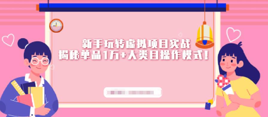 新手玩转虚拟项目实战，揭秘单品1万+大类目操作模式【视频课程】-安哥网络创业副业