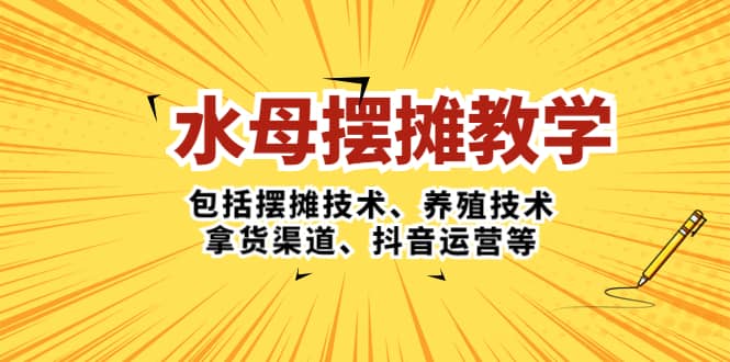 水母·摆摊教学，包括摆摊技术、养殖技术、拿货渠道、抖音运营等-安哥网络创业副业