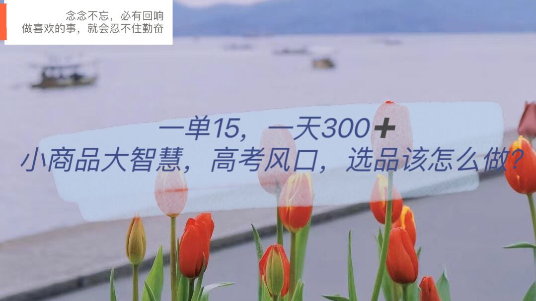 一单15，一天300+，小商品大智慧，高考风口，选品该怎么布局-安哥网络创业副业