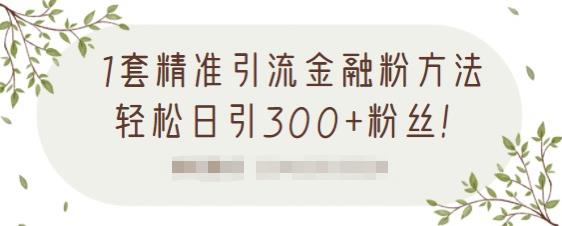 1套精准引流金融粉方法，轻松日引300+粉丝【视频课程】-安哥网络创业副业