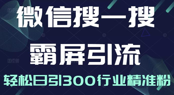 微信搜一搜霸屏引流课，打造被动精准引流系统，轻松日引300行业精准粉【无水印】-安哥网络创业副业