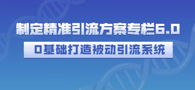 制定精准引流方案专栏6.0，0基础打造被动引流系统-安哥网络创业副业