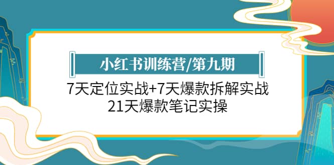 小红书训练营/第九期：7天定位实战+7天爆款拆解实战，21天爆款笔记实操-安哥网络创业副业