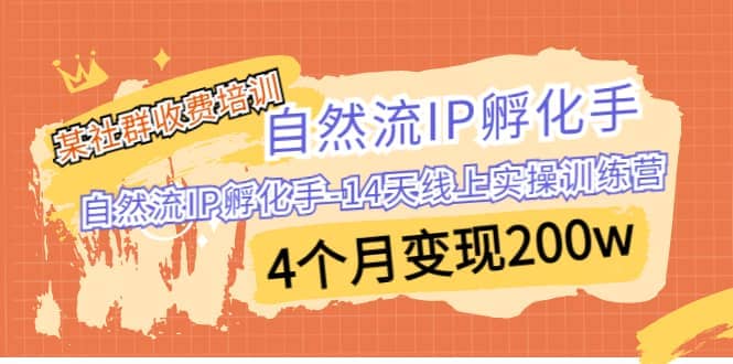 某社群收费培训：自然流IP 孵化手-14天线上实操训练营 4个月变现200w-安哥网络创业副业