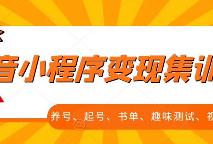 抖音小程序变现集训课，养号、起号、书单、趣味测试、视频剪辑，全套流程-安哥网络创业副业
