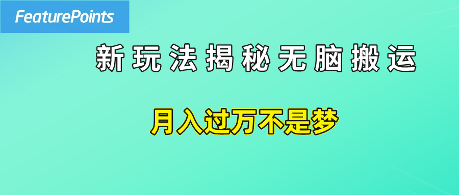 简单操作，每天50美元收入，搬运就是赚钱的秘诀！-安哥网络创业副业