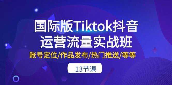 国际版Tiktok抖音运营流量实战班：账号定位/作品发布/热门推送/等等-13节-安哥网络创业副业