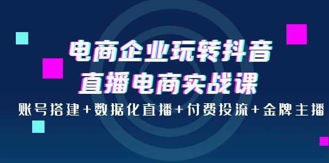 电商企业玩转抖音直播电商实战课：账号搭建+数据化直播+付费投流+金牌主播-安哥网络创业副业