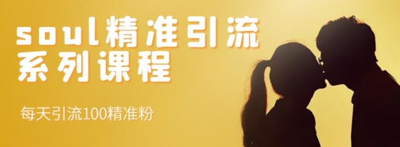 soul精准引流系列课程，每天引流100精准粉-安哥网络创业副业