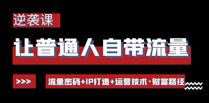 让普通人自带流量的逆袭课：流量密码+IP打造+运营技术·财富路径-安哥网络创业副业