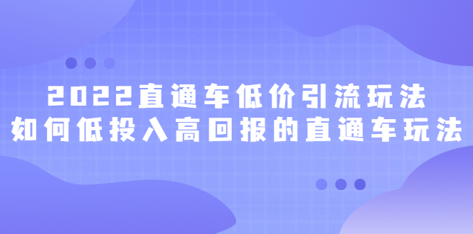 2022直通车低价引流玩法，教大家如何低投入高回报的直通车玩法-安哥网络创业副业