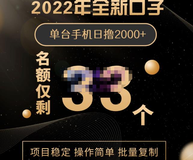 2022年全新口子，手机批量搬砖玩法，一部手机日撸2000+-安哥网络创业副业