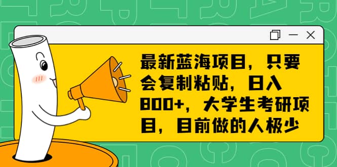 最新蓝海项目，只要会复制粘贴，日入800+，大学生考研项目，目前做的人极少-安哥网络创业副业