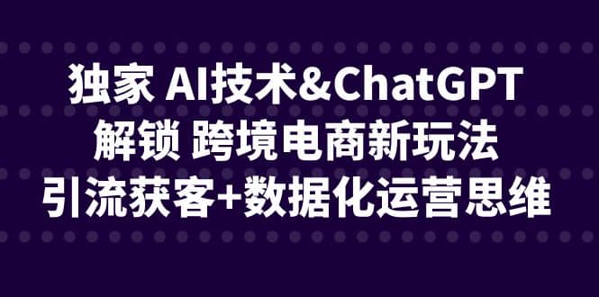 独家 AI技术ChatGPT解锁 跨境电商新玩法，引流获客+数据化运营思维-安哥网络创业副业