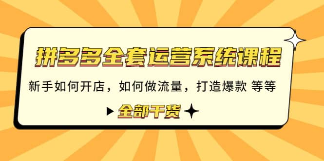 拼多多全套运营系统课程：新手如何开店 如何做流量 打造爆款 等等 全部干货-安哥网络创业副业