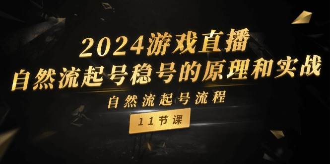 2024游戏直播-自然流起号稳号的原理和实战，自然流起号流程（11节）-安哥网络创业副业