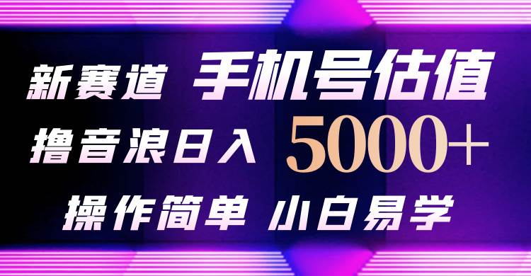 抖音不出境直播【手机号估值】最新撸音浪，日入5000+，简单易学，适合…-安哥网络创业副业