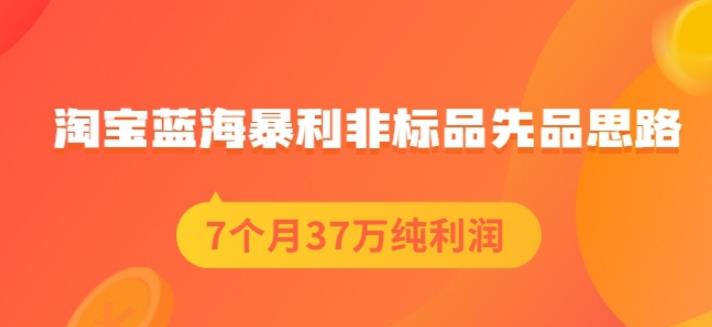 盗坤淘宝蓝海暴利非标品先品思路，7个月37万纯利润，压箱干货分享！【付费文章】-安哥网络创业副业