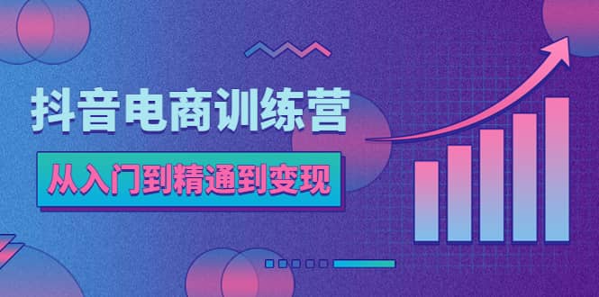 抖音电商训练营：从入门到精通，从账号定位到流量变现，抖店运营实操-安哥网络创业副业