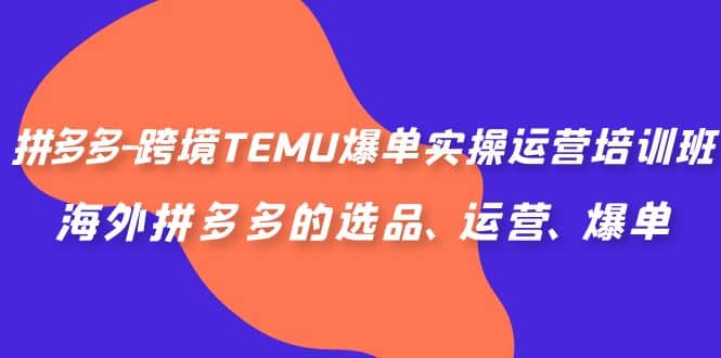 拼多多-跨境TEMU爆单实操运营培训班，海外拼多多的选品、运营、爆单-安哥网络创业副业