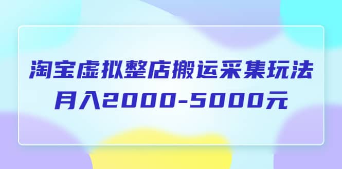 淘宝虚拟整店搬运采集玩法分享课：月入2000-5000元（5节课）-安哥网络创业副业