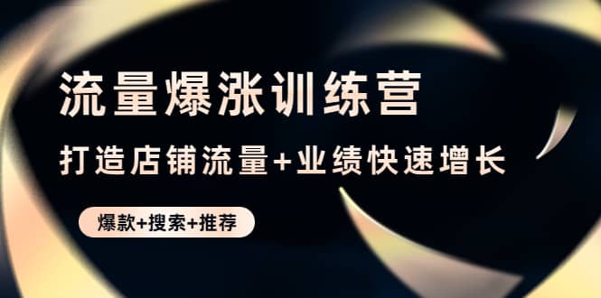 流量爆涨训练营：打造店铺流量+业绩快速增长 (爆款+搜索+推荐)-安哥网络创业副业