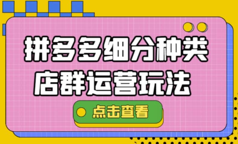 拼多多细分种类店群运营玩法3.0，11月最新玩法，小白也可以操作-安哥网络创业副业