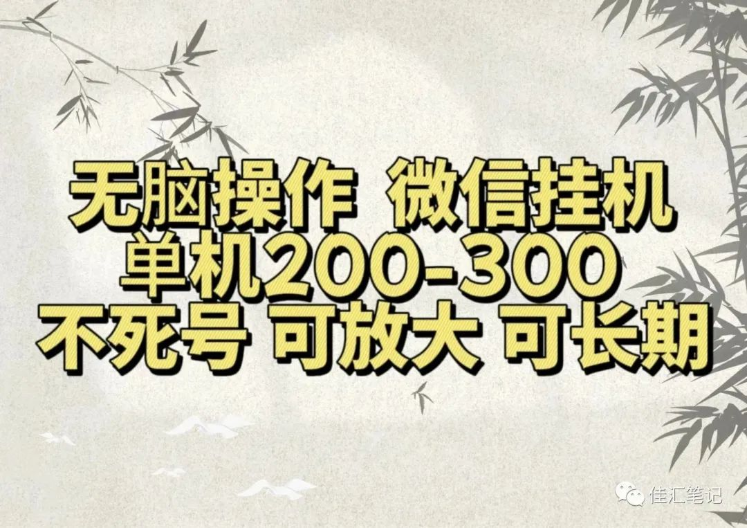 无脑操作微信视频号挂机单机200-300一天，不死号，可放大，工作室实测-安哥网络创业副业