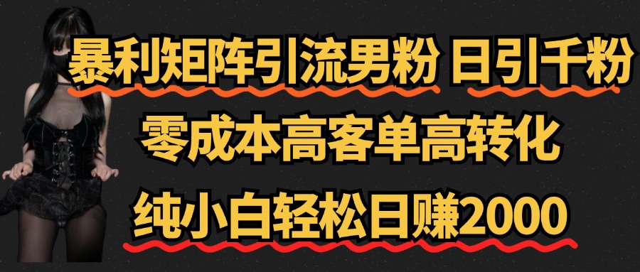 暴利矩阵引流男粉（日引千粉），零成本高客单高转化，纯小白轻松日赚2000+-安哥网络创业副业