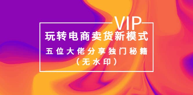 某收费培训：玩转电商卖货新模式，五位大佬分享独门秘籍（无水印）-安哥网络创业副业