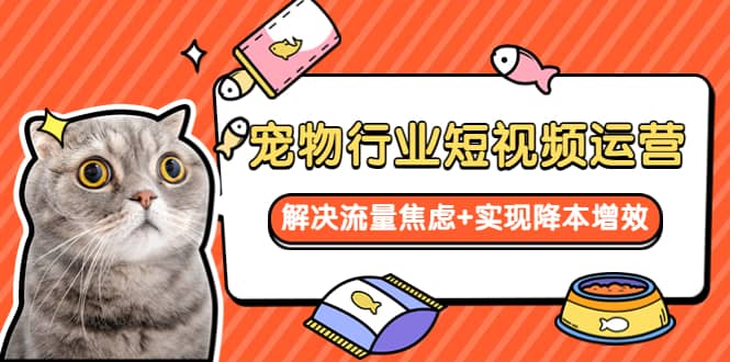 宠物/行业短视频运营 流量增长的一层窗户纸 解决流量焦虑+实现降本增效-安哥网络创业副业