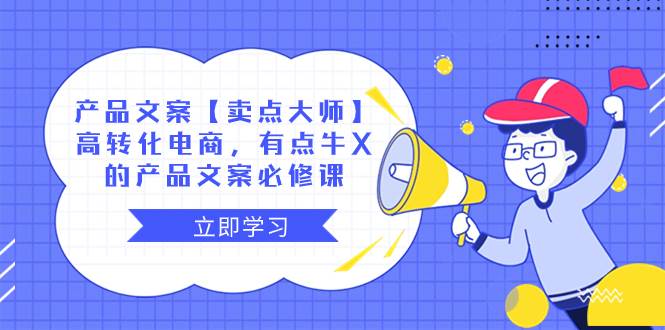 产品文案【卖点大师】高转化电商，有点牛X的 产品文案必修课-安哥网络创业副业